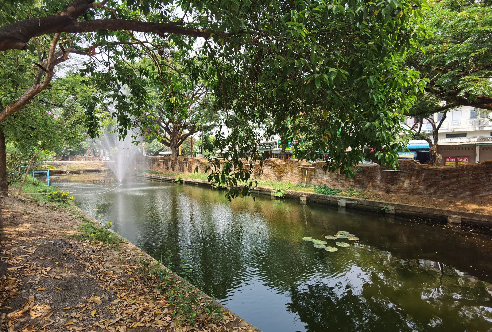 61-4