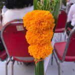 img_1407