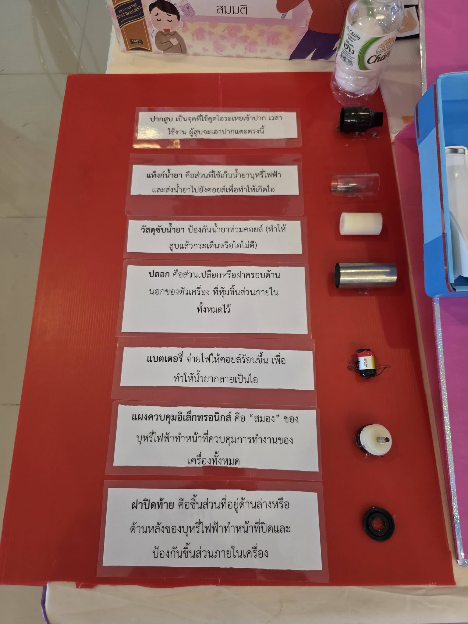 634043515_10239703134945980_90814808392640393_n
